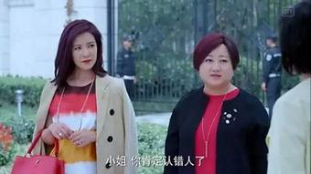 娱乐吃瓜老公,吃瓜老公背后的故事