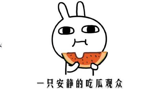 吃瓜是什么意思啊内涵,网络热词背后的社会现象与心理洞察