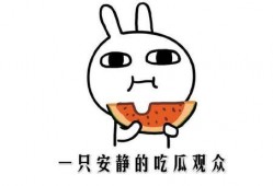 抖音免费吃瓜是啥,揭秘抖音“免费吃瓜”背后的秘密与魅力