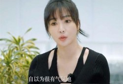 柳岩爆料灿盛是真的吗视频,视频爆料引发热议