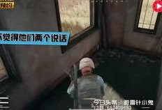 外国人爆料吃鸡视频下载,独家攻略大公开